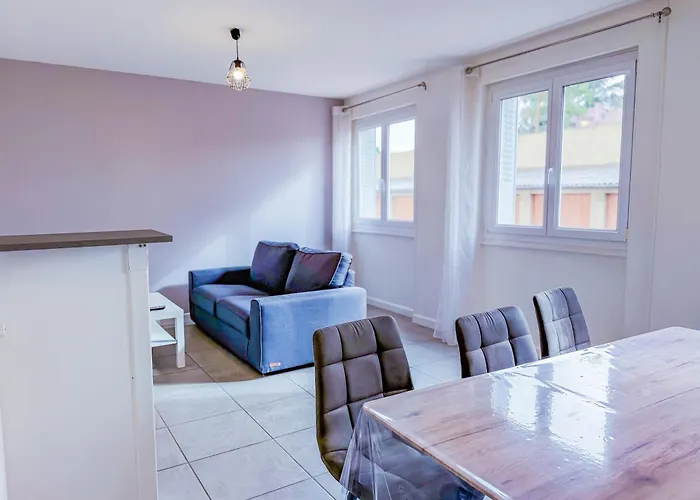 Spacieux Et Chic A Clermont-Ferrand